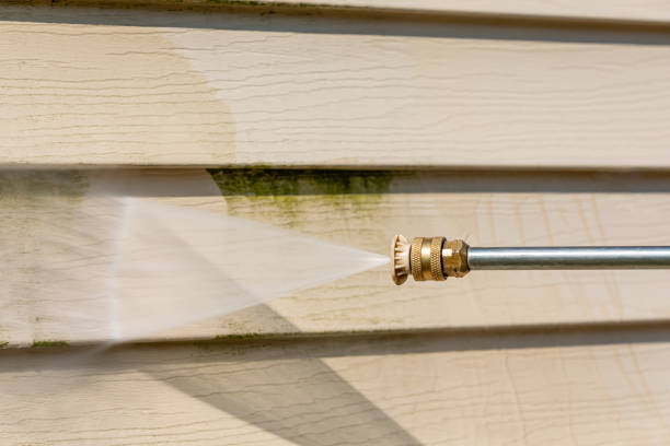 Best Exterior Home Cleaning  in Leadville, CO