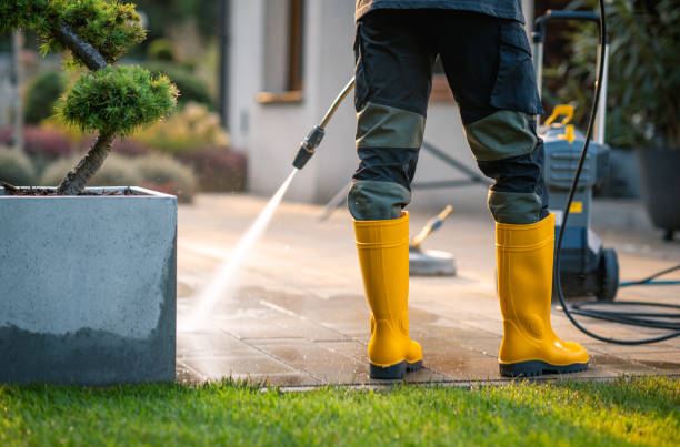 Best Affordable Pressure Washing  in Leadville, CO